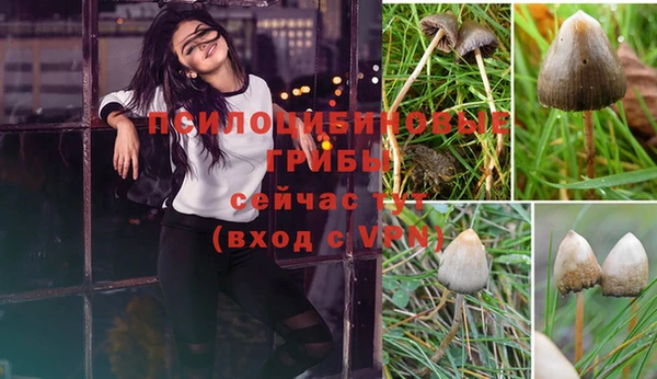 марки nbome Алзамай