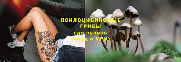 таблы Алексин