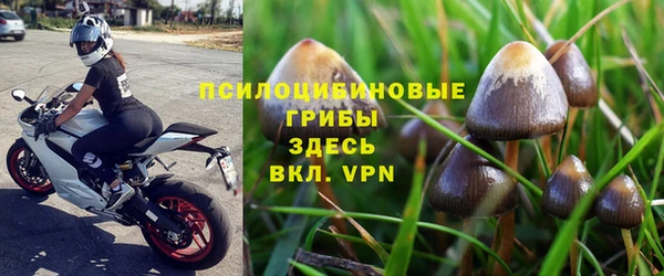 PSILOCYBIN Новокубанск