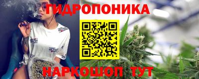 спиды Кандалакша