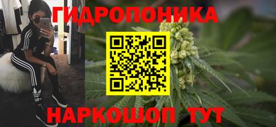 спиды Кандалакша