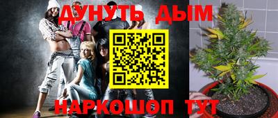 спиды Кандалакша