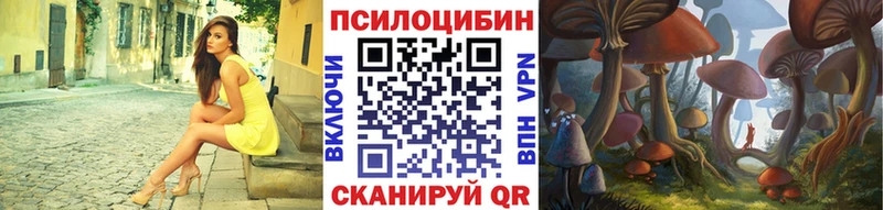 наркота Михайловск Галлюциногенные грибы MAGIC MUSHROOMS