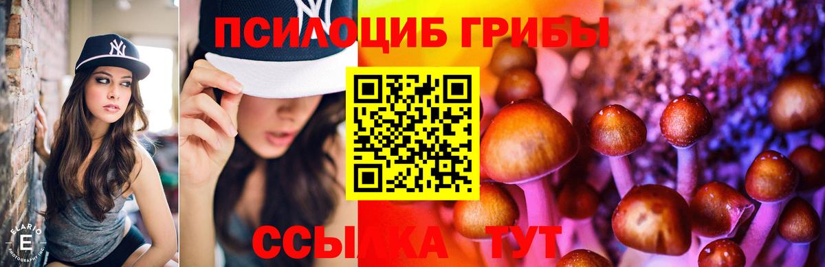 Галлюциногенные грибы Cubensis  Вход с VPN  сколько стоит  Михайловск 